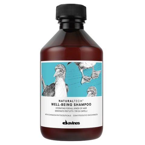 Davines NaturalTech Well-Being Shampoo